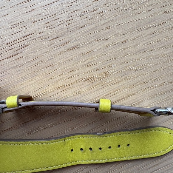 Hermes Apple Leather Strap Single Tour 41mm- Lime - Picture 10 of 12